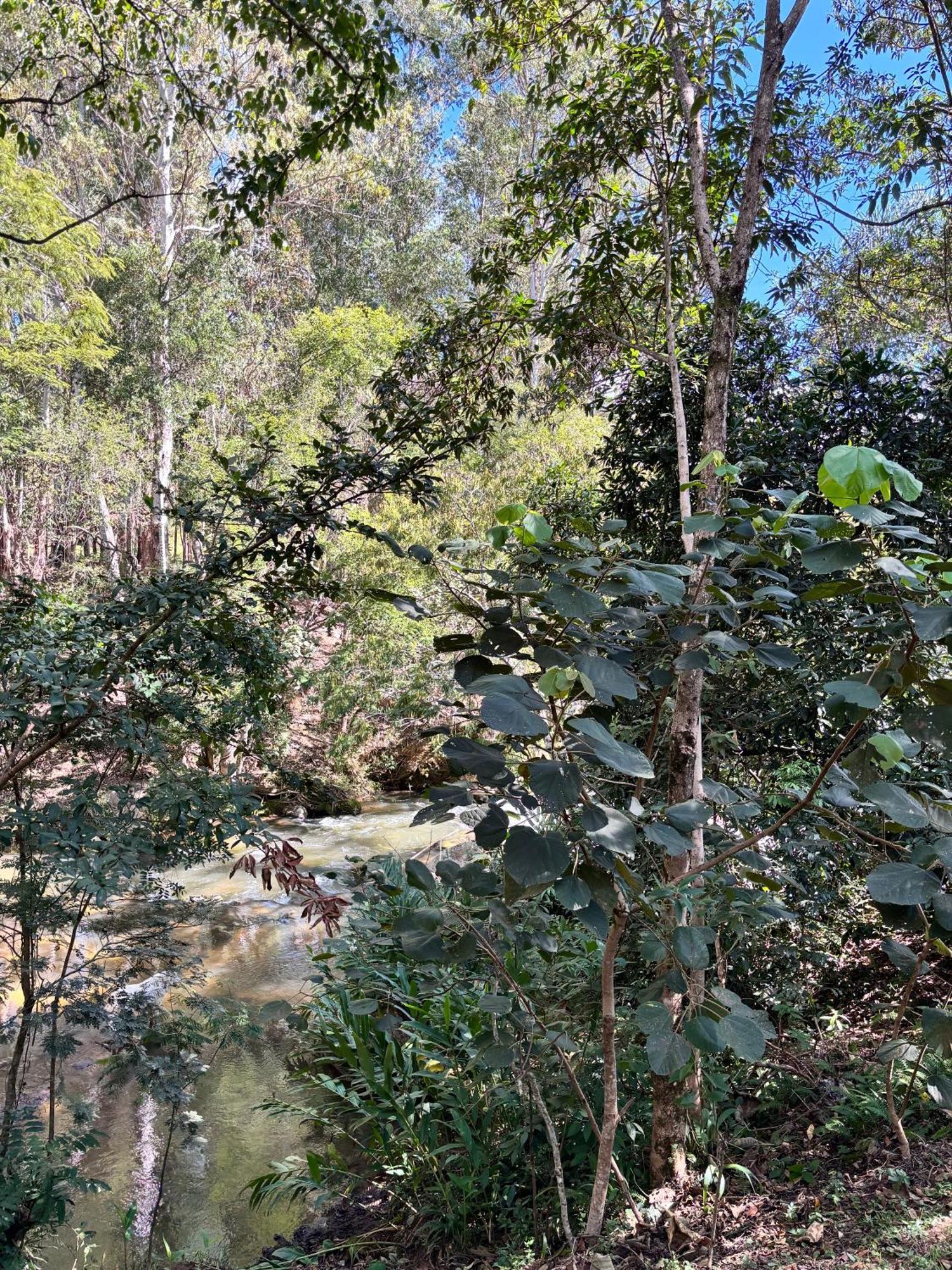 Into The Wild Campismo de Luxo